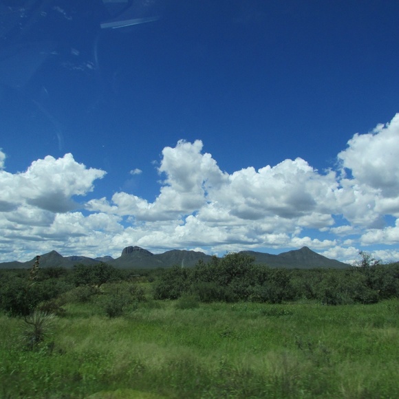 Meet your Posher, Jen - Picture 5 of 5